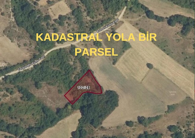 SİNOP MERKEZ TANGALOGLU 1.695 M² TARLAMIZ SATILIKTIR. - SİNOP MERKEZ fotoğraf 2